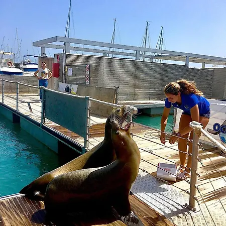 Apartment 56 Pueblo Majorero *